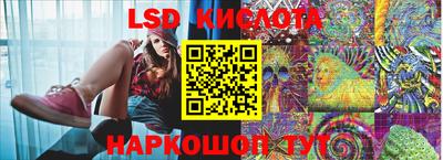 шишки Бузулук