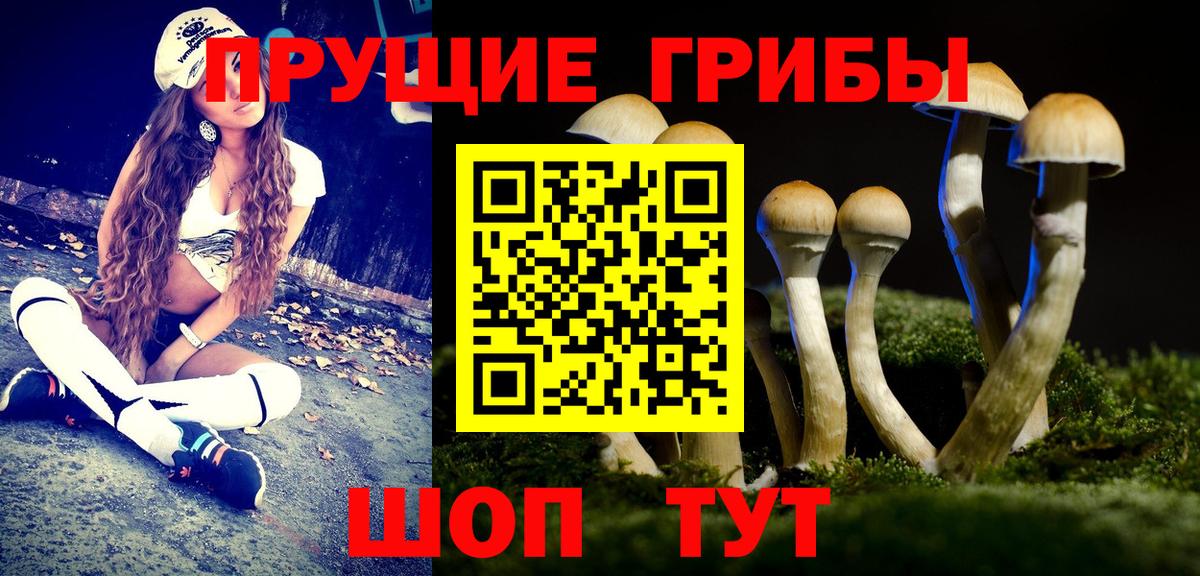 Псилоцибиновые грибы ЛСД Сертолово
