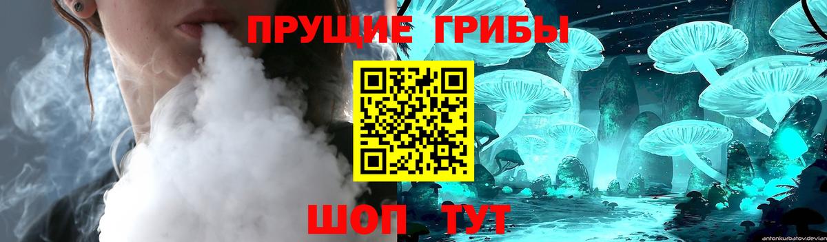 Псилоцибиновые грибы Cubensis  Вход с VPN  Сертолово  Галлюциногенные грибы мицелий 